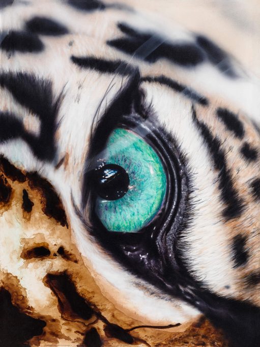abstract realism painting of a closeup of a leopard's eye by Canadian artist Amber Bahm