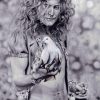 Everything still turns to gold | Led Zeppelin / Robert Plant Wall Art Prints