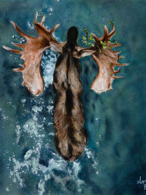 "Reverence" - Art Prints of Moose Painting