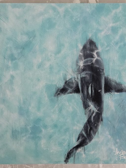 "Ocean's Balance" - Art Prints of Shark Painting