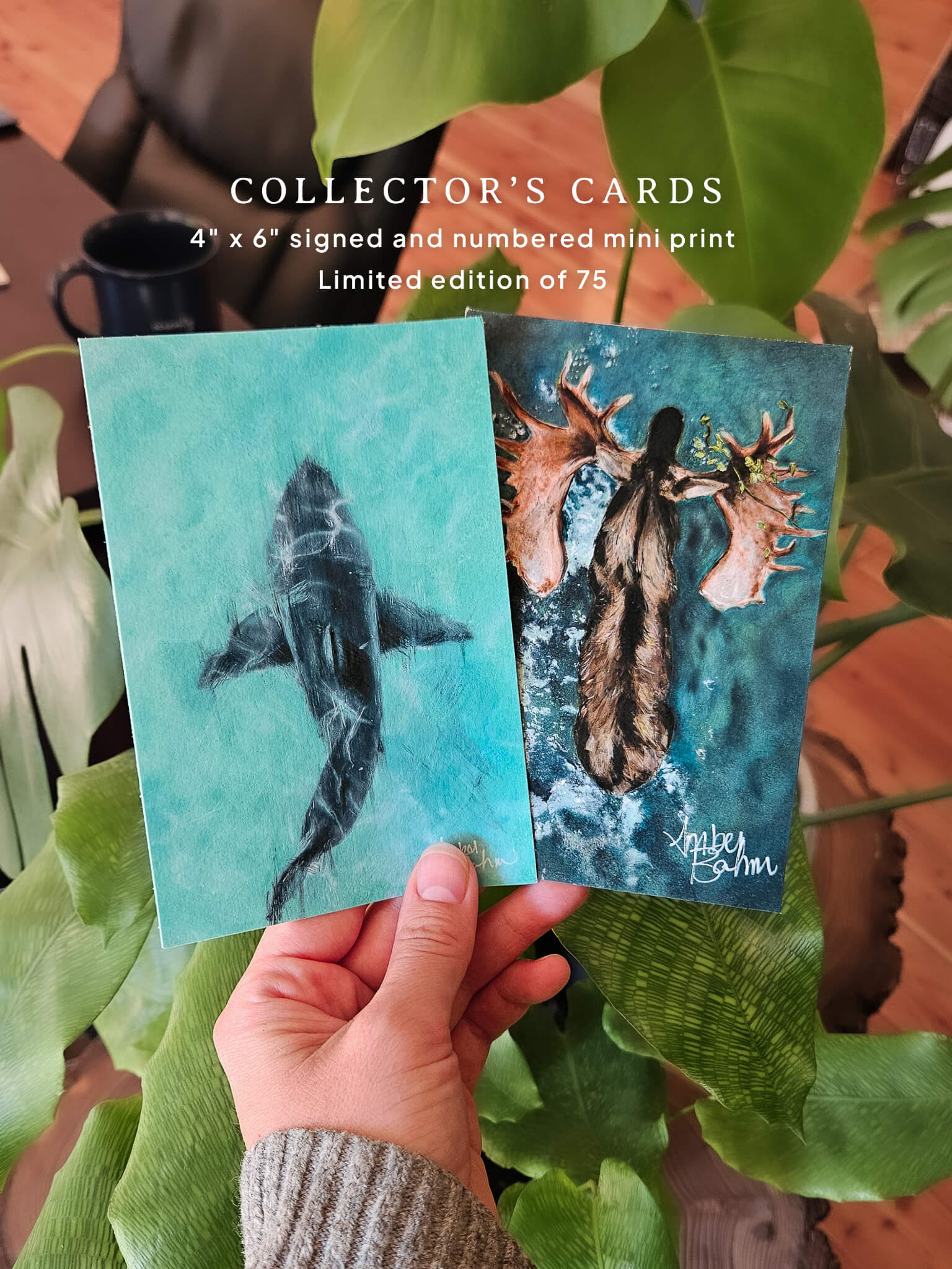 limited edition wildlife painting prints signed by british columbia based artist amber bahm