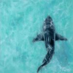 Ocean's Balance | Shark Painting Art Prints
