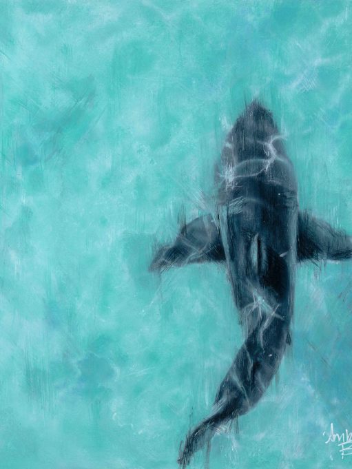 "Ocean's Balance" - Art Prints of Shark Painting