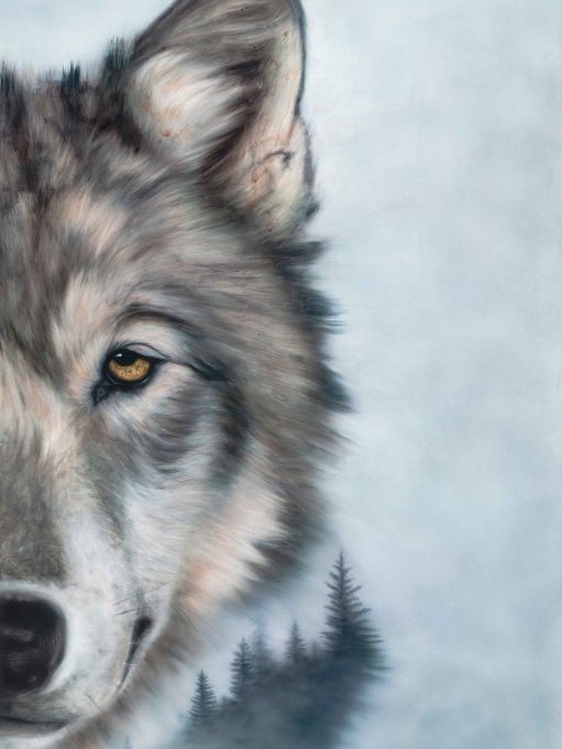 "Golden Solitude" - Wolf and Forest Art Prints